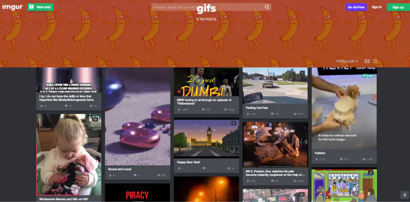 Aplicativos online para converter vídeos do  em divertidos GIFs -  Softonic