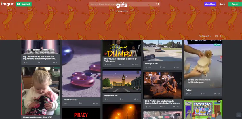 Baixar GIF grátis: Melhores sites para baixar GIFs