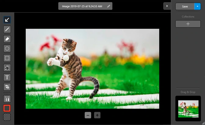 Os 9 melhores gravadores de GIF  Gravar tela em GIF no Windows e Mac -  EaseUS