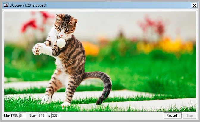 Os 9 melhores gravadores de GIF  Gravar tela em GIF no Windows e
