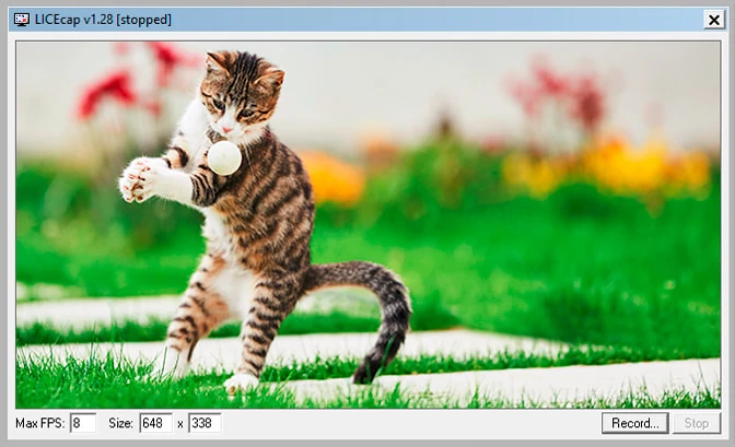 The best, easiest, quickest way to create screen capture gifs