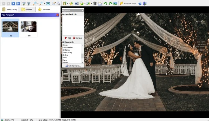 9 Best Photo Organizing Software in 2024 [Ultimate List]