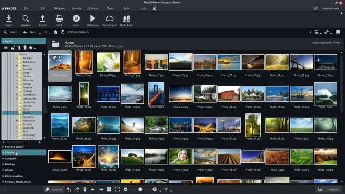 Digital Photo Organizer - Photo manager for Windows