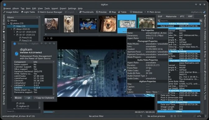 Photo Organizing Software ↗️ for Windows Free Download
