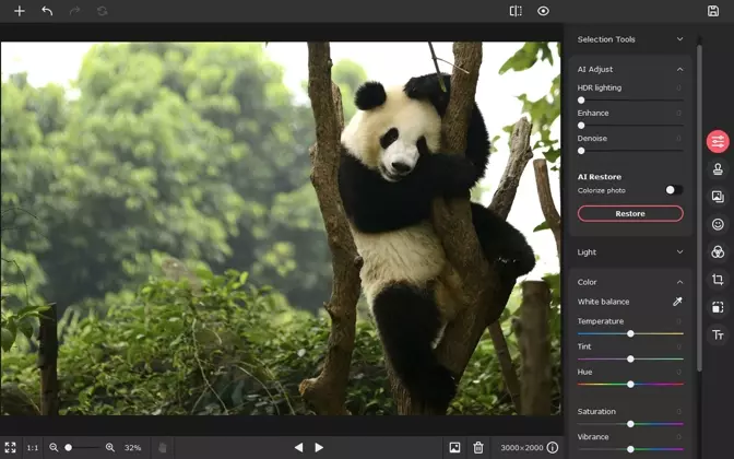 Steps to Upgrade Your Images with Free Photo Editing Apps for Mac