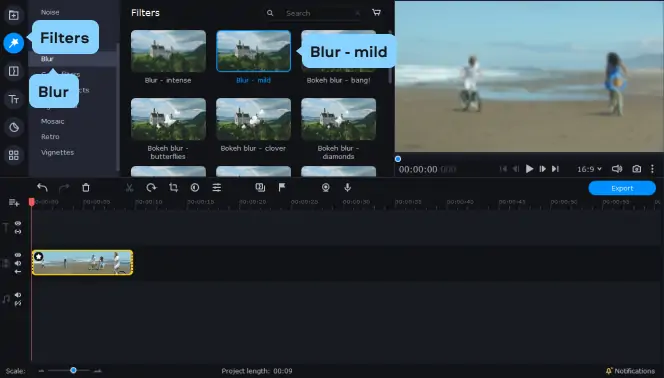 Add Motion Blur Effect to Photo Online Free