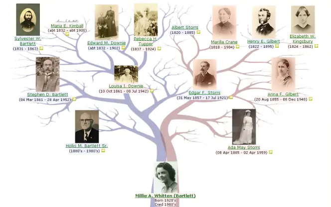 Tipos de árbol genealógico: cuál es el mejor para tu propósito - Pro-corp