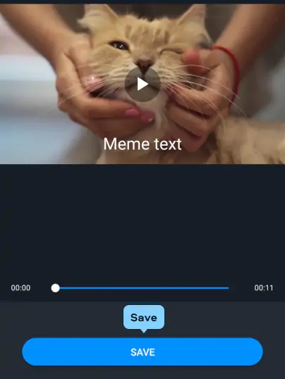 How to Make Your Own Viral Meme Video